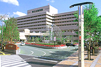 ギャラリー画像